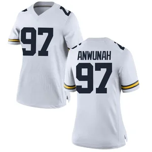 Chibi Anwunah Michigan Wolverines Women's Replica Brand Jordan Football College Jersey - White