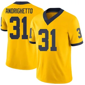 Men's Nico Andrighetto Michigan Wolverines Men's Limited Brand Jordan Maize Football College Jersey