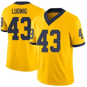 Men's Zach Ludwig Michigan Wolverines Men's Limited Brand Jordan Maize Football College Jersey