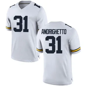 Nico Andrighetto Michigan Wolverines Men's Game Brand Jordan Football College Jersey - White