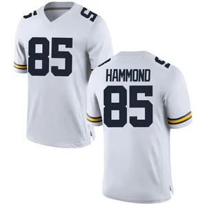 Ted Hammond Michigan Wolverines Men's Replica Brand Jordan Football College Jersey - White