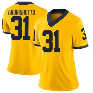 Women's Nico Andrighetto Michigan Wolverines Women's Limited Brand Jordan Maize Football College Jersey