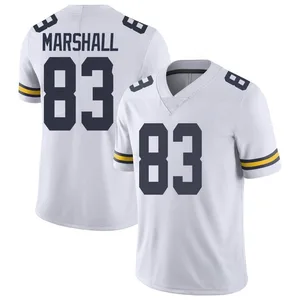 Zack Marshall Michigan Wolverines Youth Limited Brand Jordan Football College Jersey - White